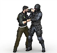 scc3.jpg