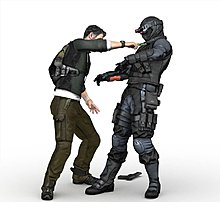 scc4.jpg