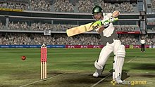 ashes_cricket_2009_7.jpg