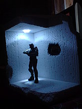 dsc00009.jpg