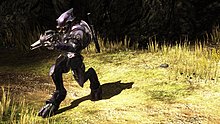reach_1328780_full.jpg