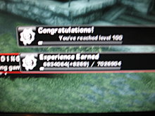 veteran_gear_paulerin1_2.jpg