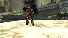 21398dbb18be9662cf06.jpg