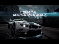 Need for Speed World Team Need for Speed BMW Z4 GT3 24h Dubai 2011