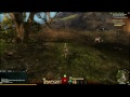 Guild Wars 2 - Playing the Warrior Walkthrough