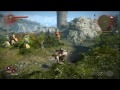 GameSpot Reviews - The Witcher 2: Assassins of Kings Enhanced Edition
