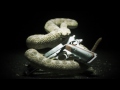 Hitman: Absolution Trailer