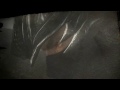 Ninja Gaiden Sigma 2 - Launch Trailer