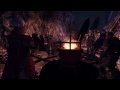 Dungeons & Dragons: Neverwinter E3 2011 Trailer