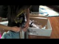 Beatles Rock Band Unboxing Wii